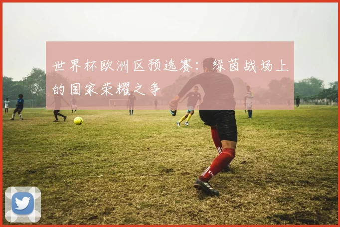 世界杯欧洲区预选赛:绿茵战场上的国家荣耀之争