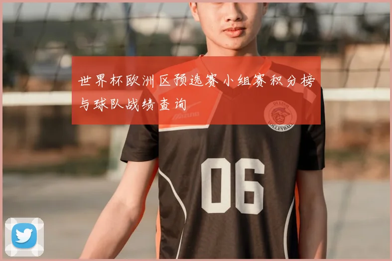 世界杯欧洲区预选赛小组赛积分榜与球队战绩查询