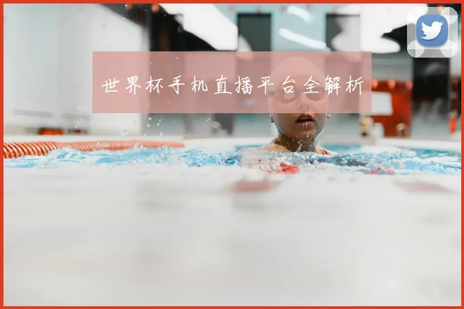 世界杯手机直播平台全解析