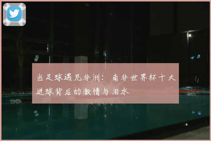 当足球遇见非洲：南非世界杯十大进球背后的激情与泪水