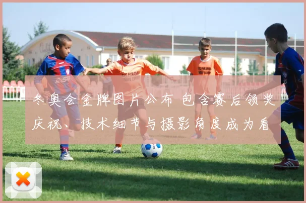 冬奥会金牌图片公布 包含赛后领奖庆祝、技术细节与摄影角度成为看点