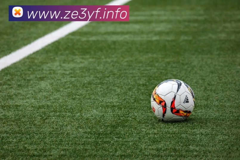 九游j9官方登录APP 封面图